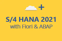 SAP S/4 HANA with ABAP Access For Developers